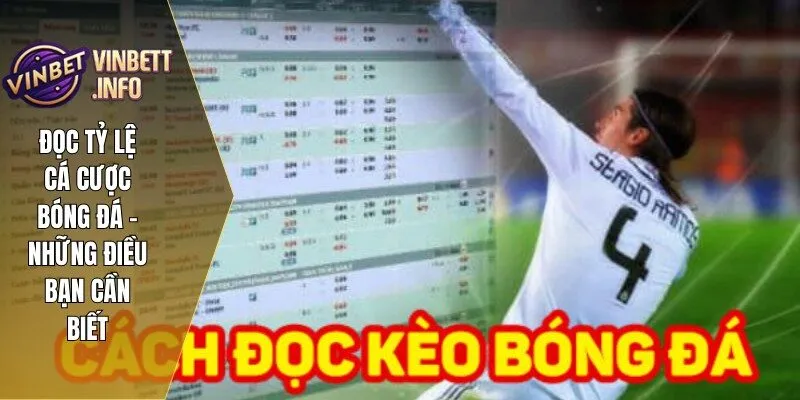 Đọc Tỷ Lệ Cá Cược Bóng Đá – Những Điều Bạn Cần Biết 2 1 doc ty le ca cuoc bong da