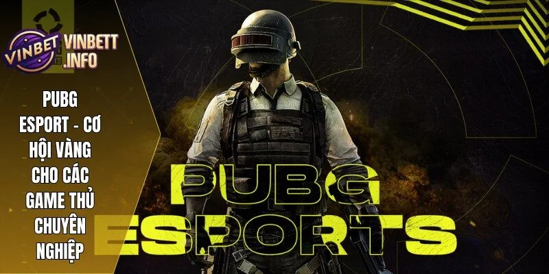 Pubg Esport – Cơ Hội Vàng Cho Các Game Thủ Chuyên Nghiệp 3 Pubg Esport