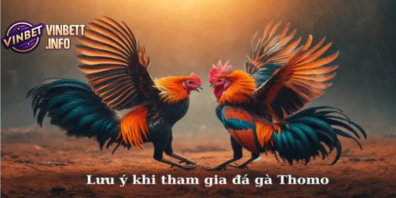 Chọn kèo cược phù hợp để gia tăng lợi nhuận tối đa