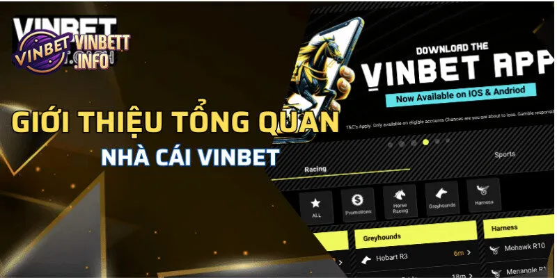 Chính sách cho người chơi cùng các câu hỏi thường gặp