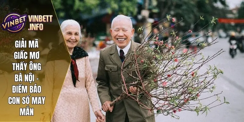 Giải Mã Giấc Mơ Thấy Ông Bà Nội – Điềm Báo Con Số May Mắn 1 Mơ Thấy Ông Bà Nội